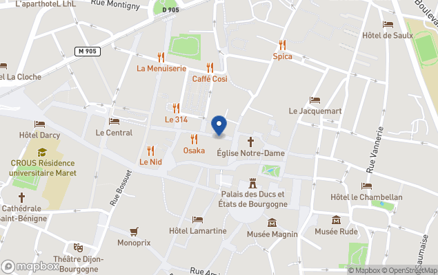 cogim - dijon - musette